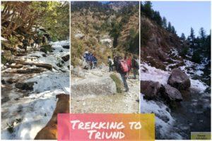 Trekking to Triund