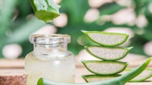 Aloe Vera help you to cure dandruff permanently naturally