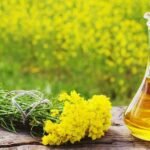 Benefits of Mustard Oil For Hair as well as the Side Effects Too-compressed