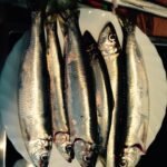 Potential Benefits of Fish Oil According to Experts