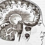 Interesting Psychological Facts About Human Brain That WILL Take You Aback