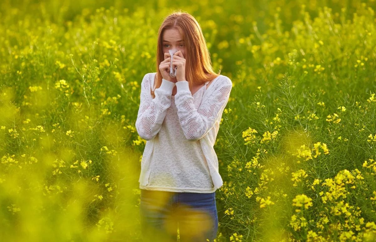 Controlling Hay Fever Symptoms with Accurate Pollen Counts DeepAdvices